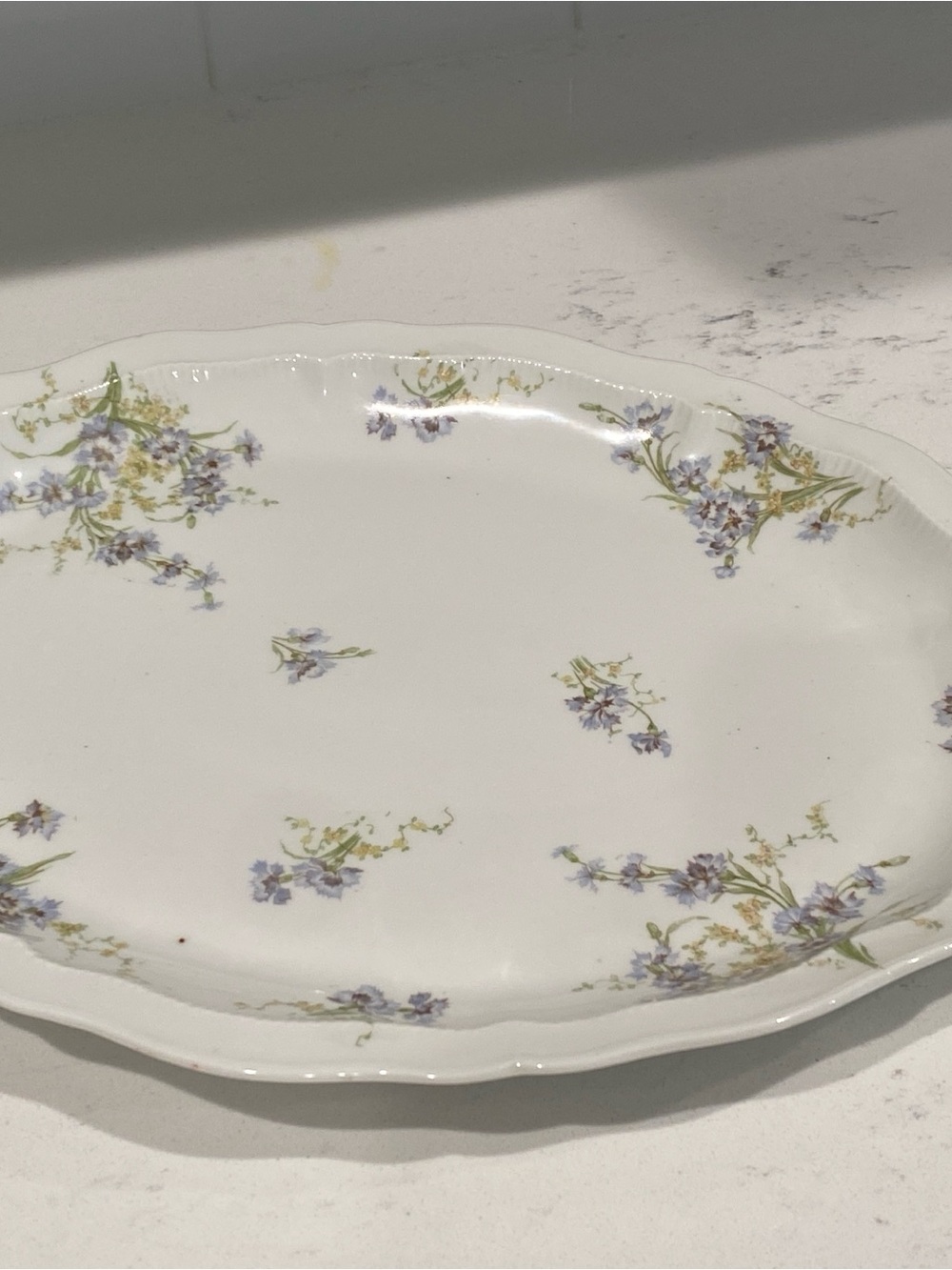 Early 1900s Theodore Haviland Limoges Oval Serving Platter - Blue Floral & Gold